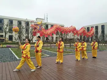 7m Studentu Izmērs 5 Zīda Drukas Auduma DRAGON DANCE Ziedu Ķīnas Pavasara Folkloras Festivāls Talismans Kostīms