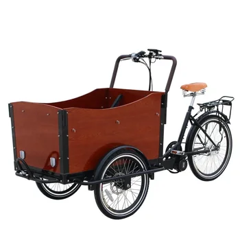 Elektriskais tricikls 3 riteņu elektriskie kravas velosipēds, pedālis elektriskie kravas velosipēds /kravu tricikls